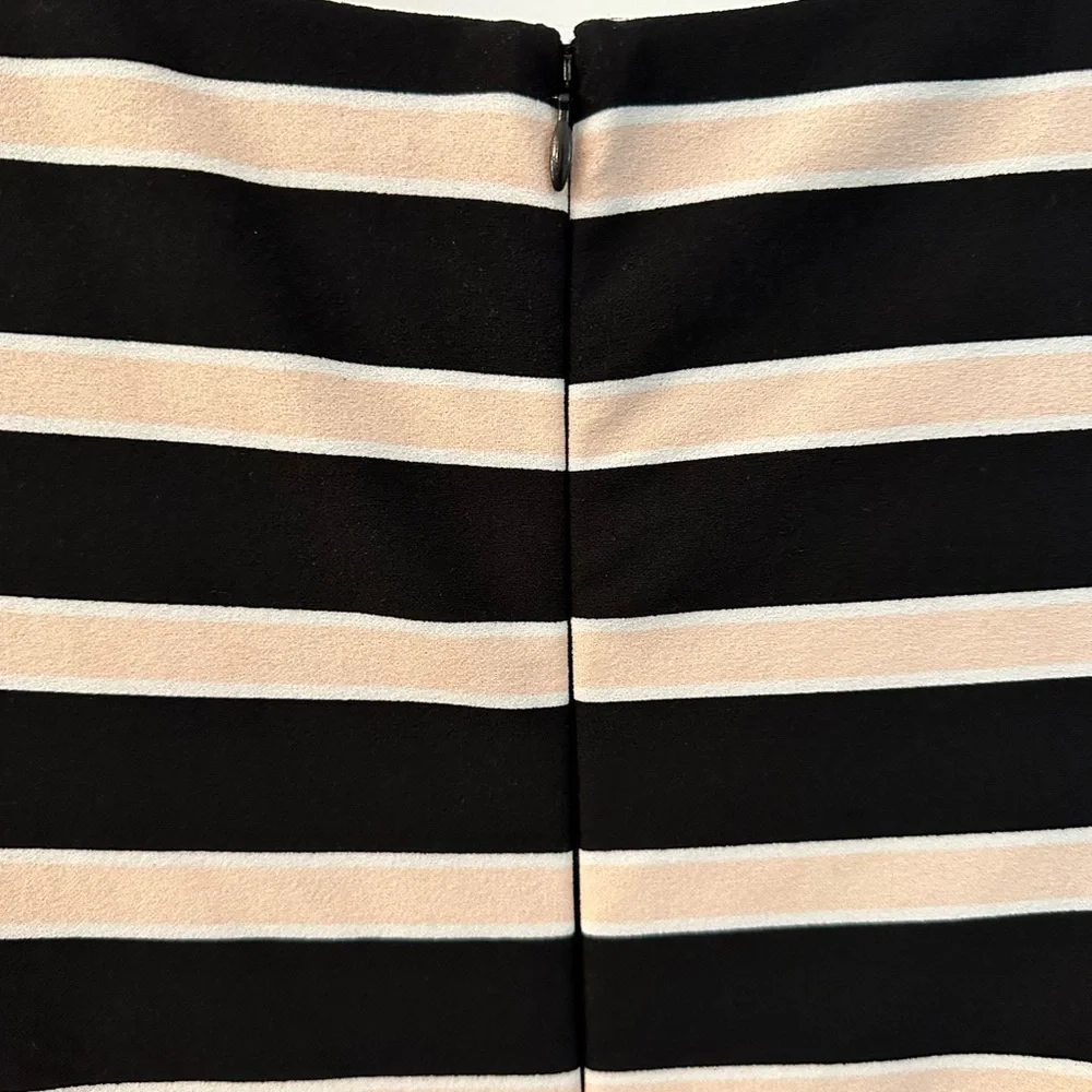 Roz & Ali Pink and Black Striped Dress Size 6P - Picture 7 of 8